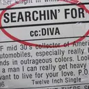 12inch Vinyl Single - cc: DIVA - Searchin' For