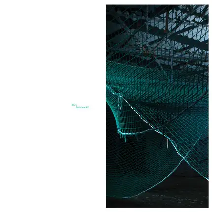 Ca2+ - Gait Cycle EP