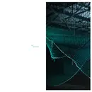 12inch Vinyl Single - Ca2+ - Gait Cycle EP - EP