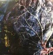 Ca2+ - Overtone Widow