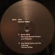 LP - Ca2+ - Overtone Widow