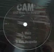 12inch Vinyl Single - Cam'ron, Cam' - What Means The World 2U