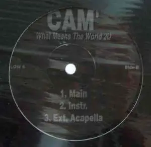 Cam'ron, Cam' - What Means The World To YOu