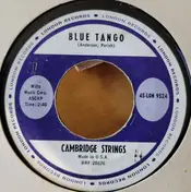 The Cambridge Strings - Niagara Theme