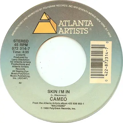 Cameo - Skin I'm In