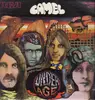LP - Camel - Under Age - Pokora 2001. Original 1st Italian