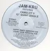 12inch Vinyl Single - Camelot II - Happy
