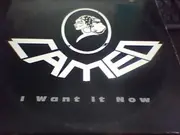 12inch Vinyl Single - Cameo - I Want It Now
