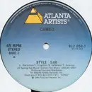 12inch Vinyl Single - Cameo - Style