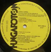 LP - Camerata Hungarica - Choreæ & Carmina