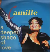 12inch Vinyl Single - Camille - A Deeper Shade Of Love
