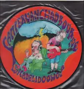 Picture LP - Camper Van Chadbourne - Psychadelidoowop