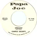 7inch Vinyl Single - Campus Security - Streakin'