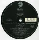 12inch Vinyl Single - Cam'ron - Down And Out