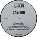 12inch Vinyl Single - Cam'ron - Facts Of Life