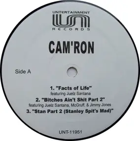 Camron - Facts of Life