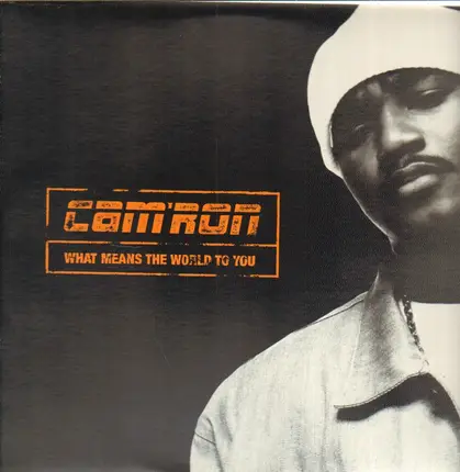 Cam'ron - What Means The World To YOu
