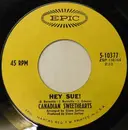 7inch Vinyl Single - Canadian Sweethearts - Hey Sue!