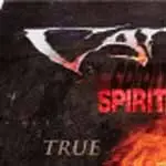 Cancer - SPIRIT IN FLAMES