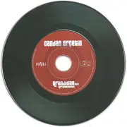 CD - Candan Erçetin - Aranjman 2011 (Arrangements 2011)