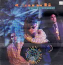 12inch Vinyl Single - Candi - The World Just Keeps On Turning
