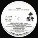 12inch Vinyl Single - Candi - Under Your Spell - Promo
