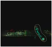 Candida - Meta