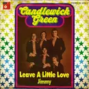 7inch Vinyl Single - Candlewick Green - Leave A Little Love