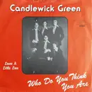 7inch Vinyl Single - Candlewick Green - Who Do You Think You Are?