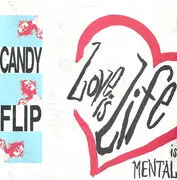7inch Vinyl Single - Candy Flip - Love Is Life