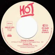 7inch Vinyl Single - Candy Flip - This Can Be Real