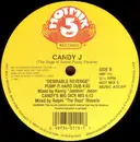 12inch Vinyl Single - Candy J - Desirable Revenge (The Saga Of Sweet Pussy Pauline)