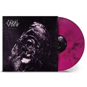Cabal - Everything Rots
