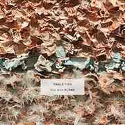 LP - Cable Ties - All Her Plans
