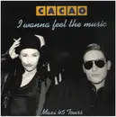 12inch Vinyl Single - Cacao - I Wanna Feel The Music