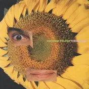 Caetano Veloso - Circuladô