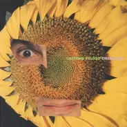 Caetano Veloso - Circuladô