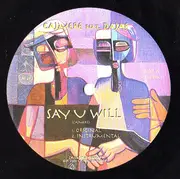 12inch Vinyl Single - Cajmere Feat. Dajaé - Say U Will