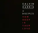 CD Single - Calvin Harris + Disciples - How Deep Is Your Love