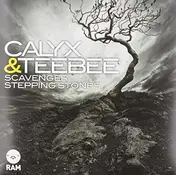 Calyx - Scavenger / Stepping Stones