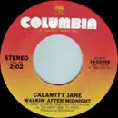 7inch Vinyl Single - Calamity Jane - Walkin' After Midnight