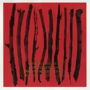CD - Cale Parks - Illuminated Manuscript