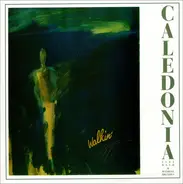 Caledonia Jazzband , Wendell Brunious - Walkin'