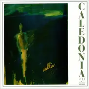 Caledonia Jazzband , Wendell Brunious - Walkin'