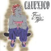 CD - Calexico - Feast Of Wire