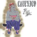 CD - Calexico - Feast Of Wire