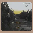 LP - Calexico - Spoke