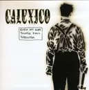 CD - Calexico - Even My Sure Things Fall Through