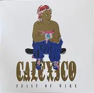 Calexico - Feast Of Wire / More Cowboys In Sweden (Live)