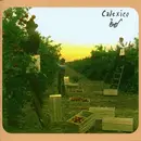 LP - Calexico - Spoke - MEMBERS OF GIANT SAND AND OP8